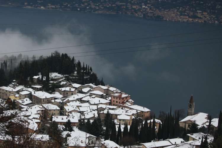 Tremosine